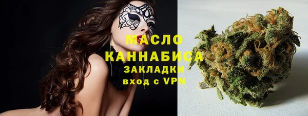 сатива Верея