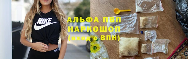 сатива Верея