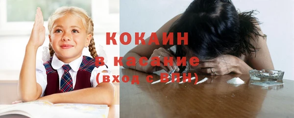 бошки Бородино