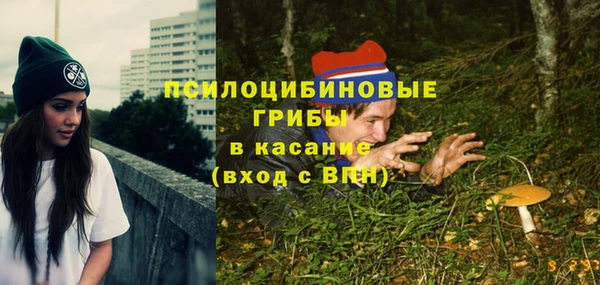 бошки Бородино