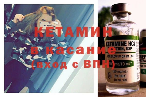сатива Верея