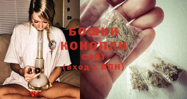 сатива Верея