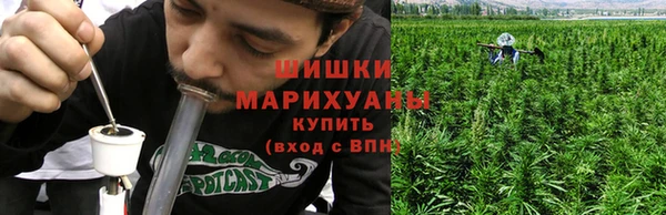 бошки Бородино
