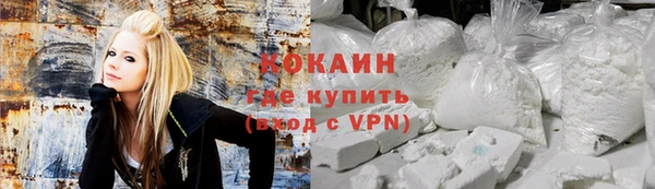 бошки Бородино